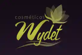 wydet.com.br