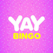 yaybingo.com